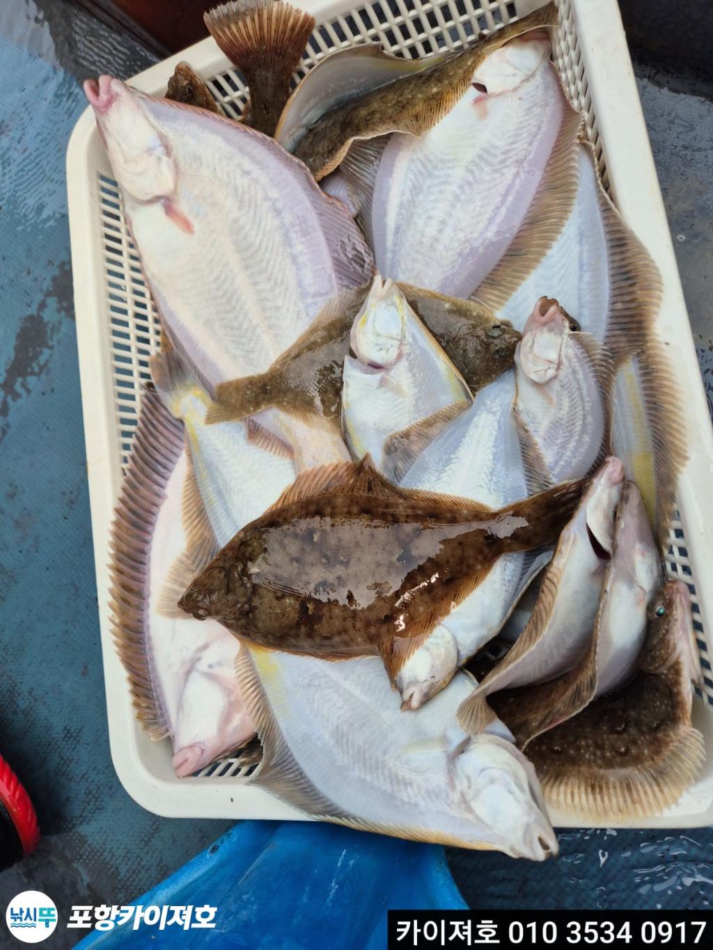 낚시뚜,도다리,영일만항,포항카이져호,낚시뚜44