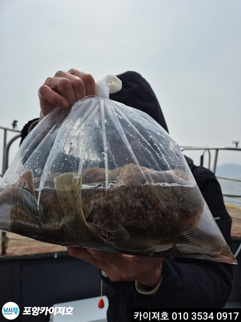 낚시뚜,도다리,영일만항,포항카이져호,낚시뚜41