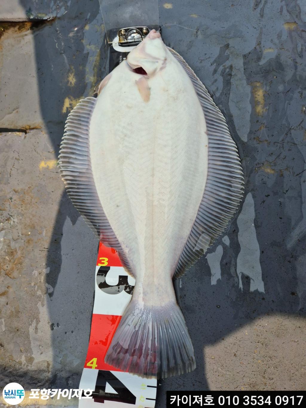 낚시뚜,도다리,영일만항,포항카이져호,낚시뚜29