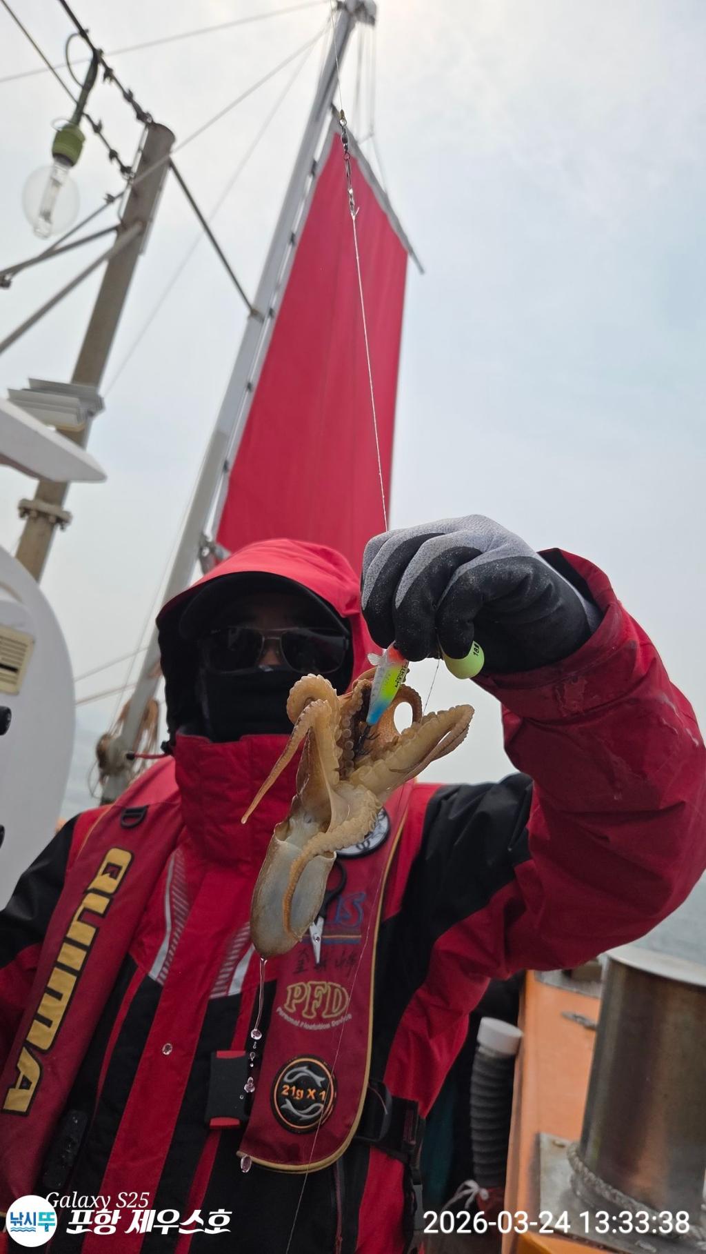 낚시뚜,쭈꾸미,영일만항,포항 제우스호,낚시뚜28