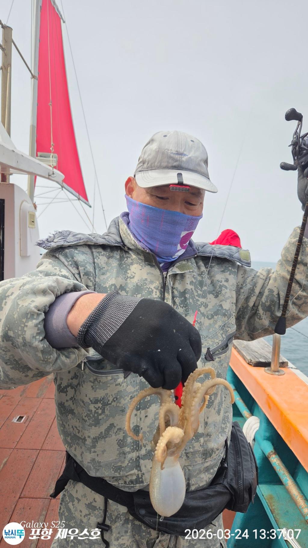 낚시뚜,쭈꾸미,영일만항,포항 제우스호,낚시뚜24