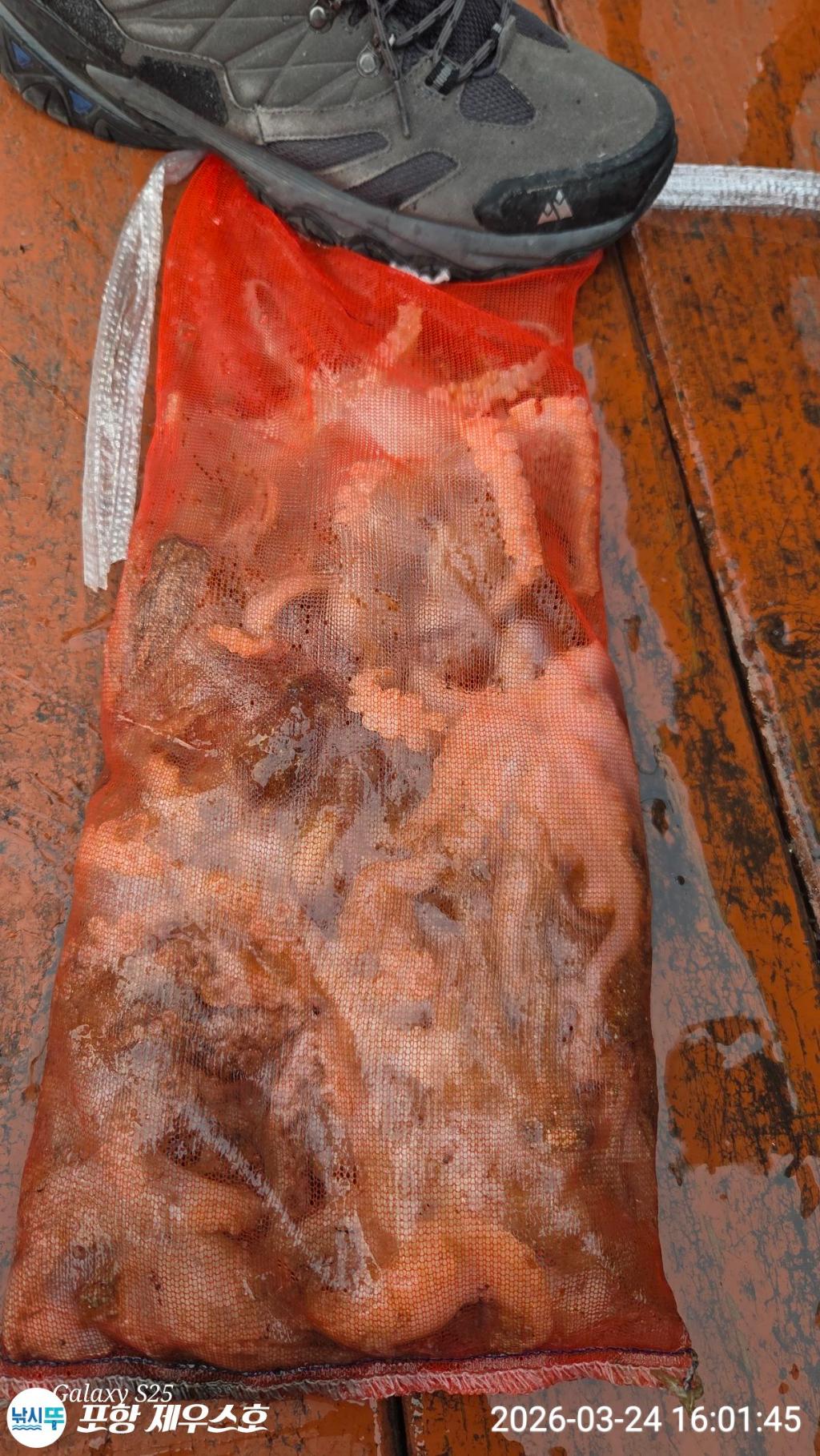 낚시뚜,쭈꾸미,영일만항,포항 제우스호,낚시뚜0