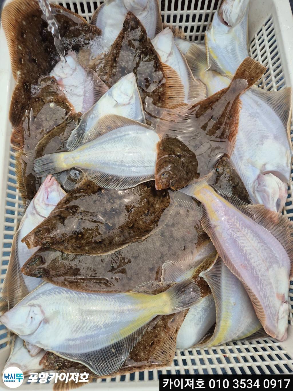 낚시뚜,기타 (직접입력),영일만항,포항카이져호,낚시뚜37