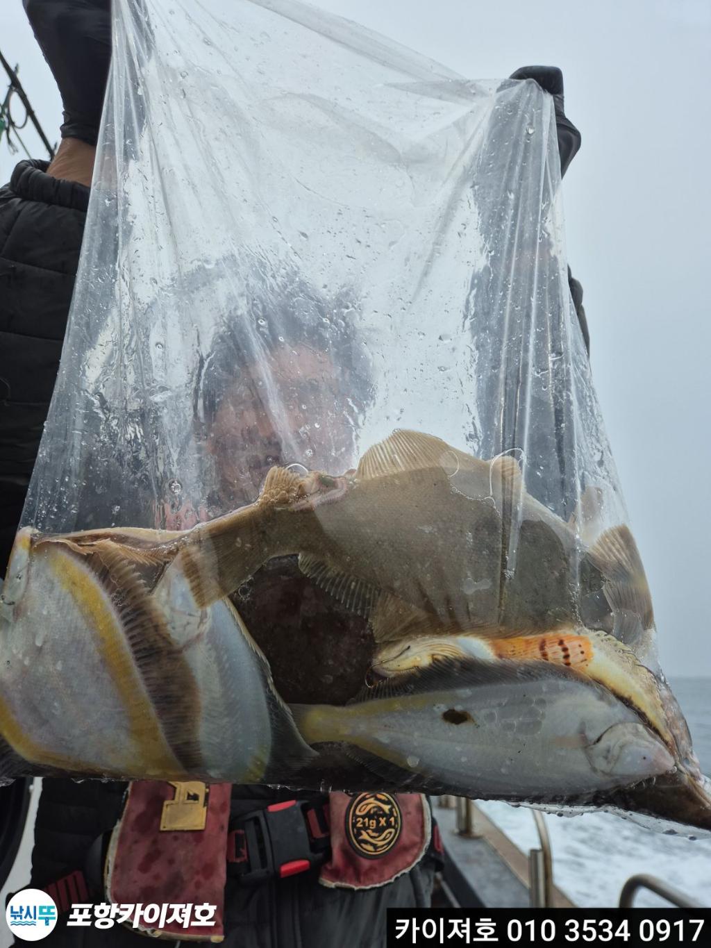 낚시뚜,기타 (직접입력),영일만항,포항카이져호,낚시뚜36