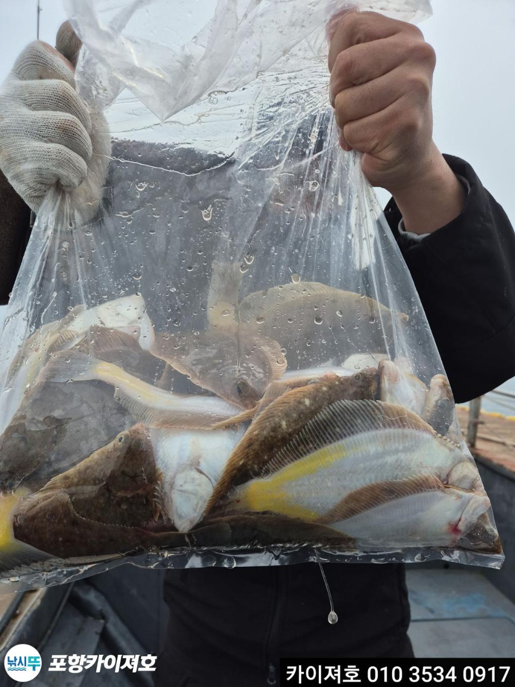 낚시뚜,기타 (직접입력),영일만항,포항카이져호,낚시뚜34