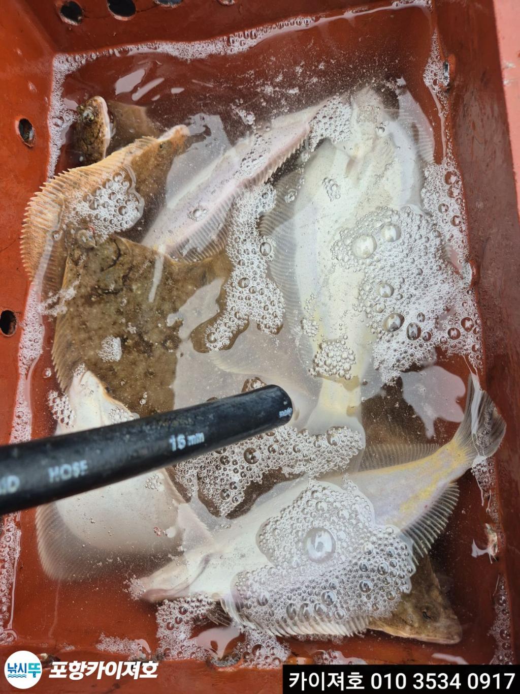 낚시뚜,기타 (직접입력),영일만항,포항카이져호,낚시뚜32