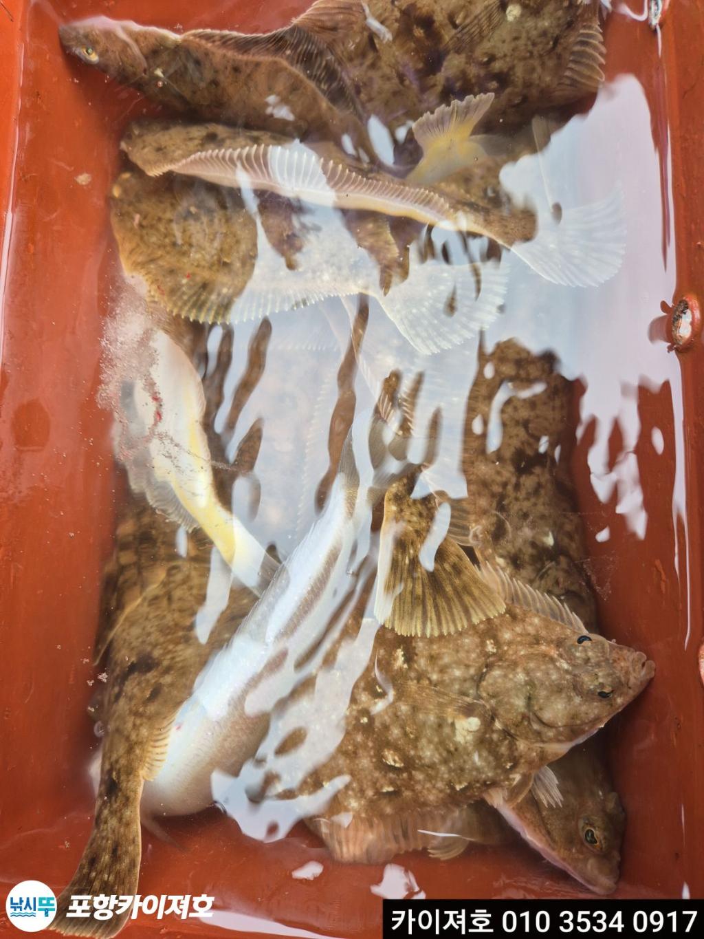 낚시뚜,기타 (직접입력),영일만항,포항카이져호,낚시뚜30