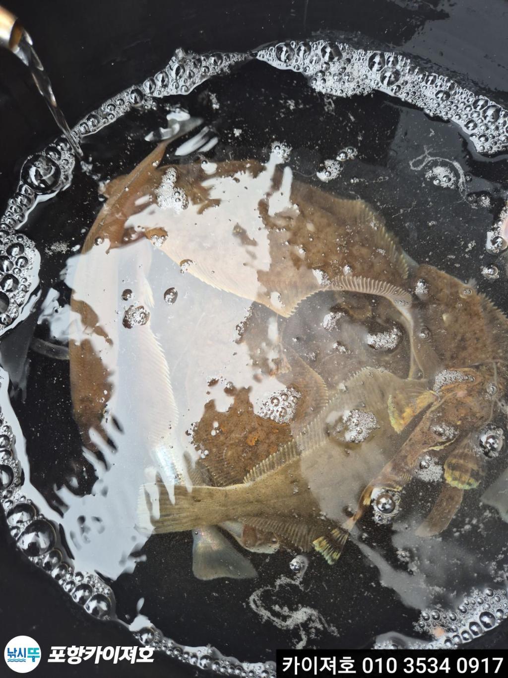 낚시뚜,기타 (직접입력),영일만항,포항카이져호,낚시뚜27