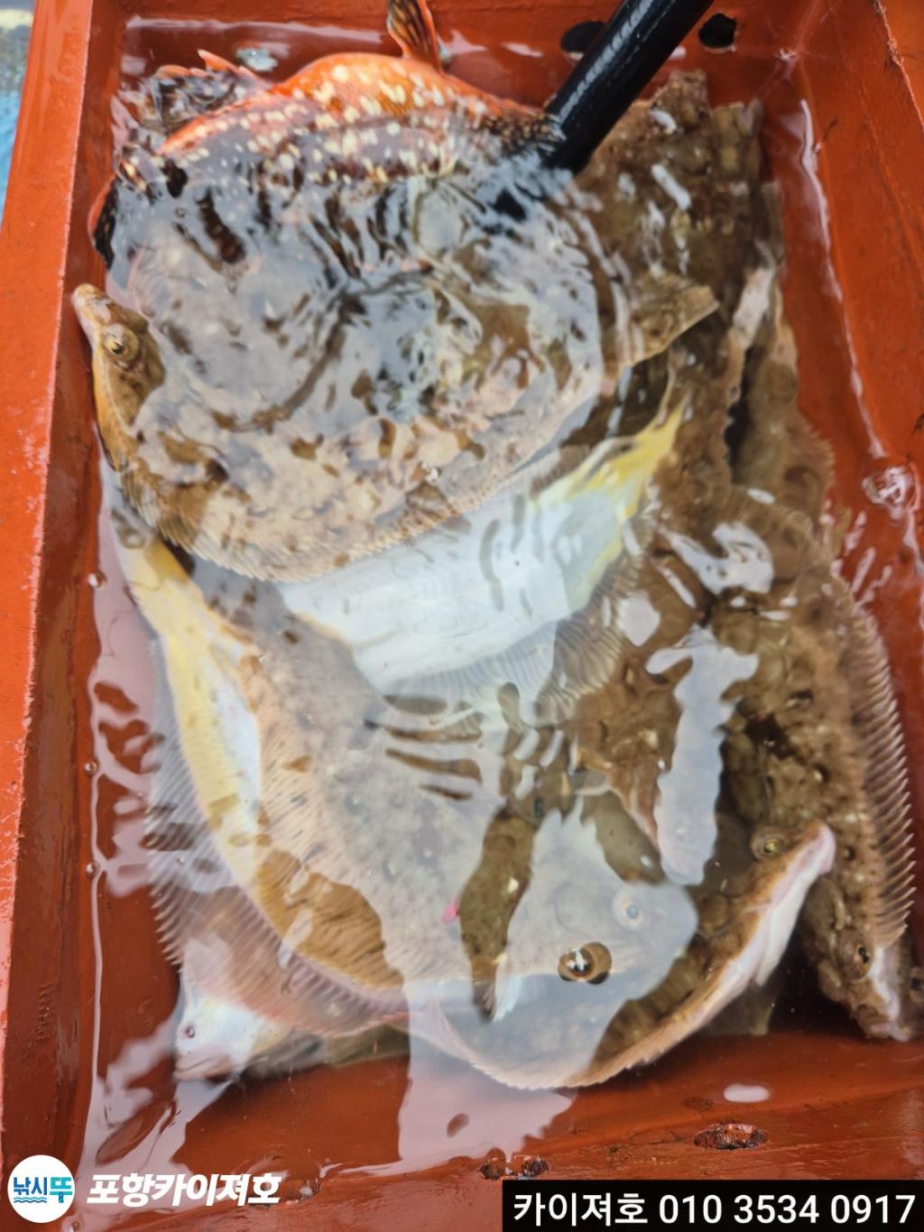 낚시뚜,기타 (직접입력),영일만항,포항카이져호,낚시뚜13