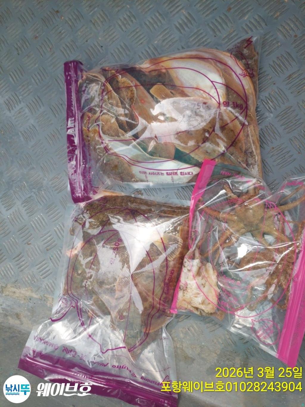 낚시뚜,도다리,가자미,구룡포항,뉴웨이브호,낚시뚜14