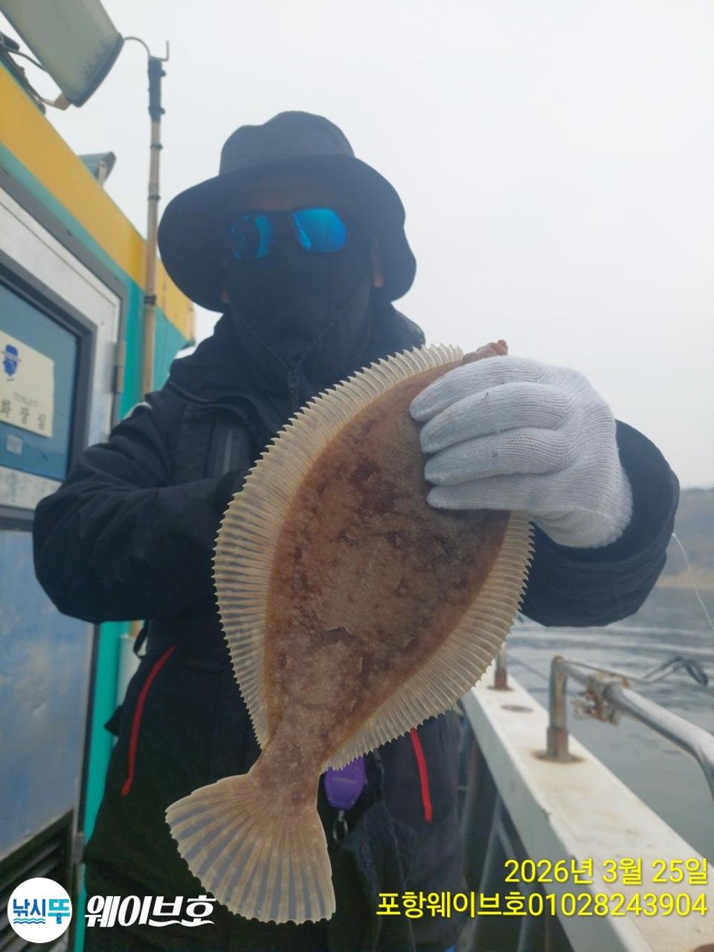 낚시뚜,도다리,가자미,구룡포항,뉴웨이브호,낚시뚜5