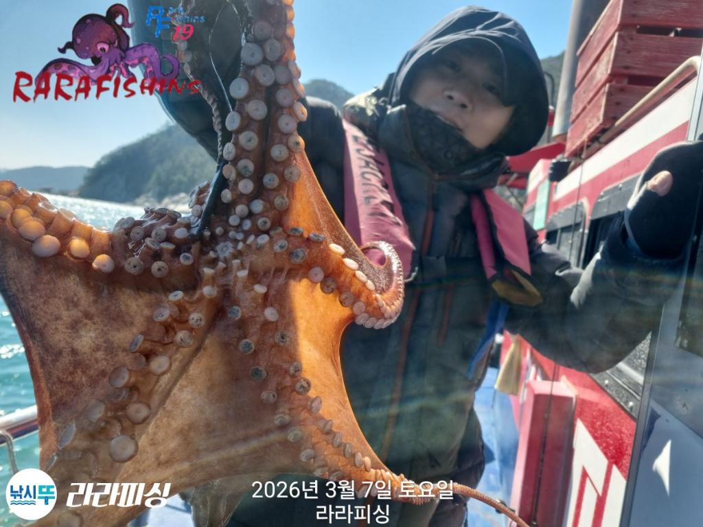 낚시뚜,낙지,돌문어,속천항(진해),라라피싱,낚시뚜21