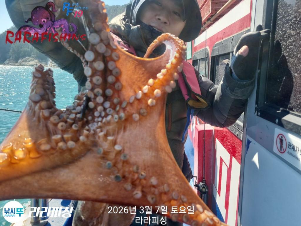낚시뚜,낙지,돌문어,속천항(진해),라라피싱,낚시뚜19