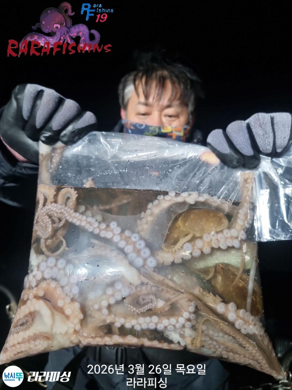 낚시뚜,낙지,돌문어,속천항(진해),라라피싱,낚시뚜9