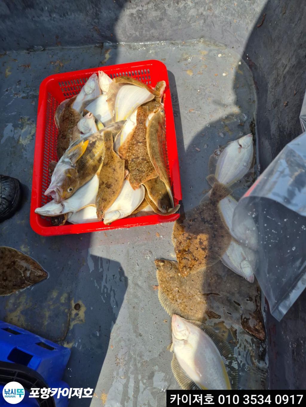 낚시뚜,기타 (직접입력),영일만항,포항카이져호,낚시뚜46