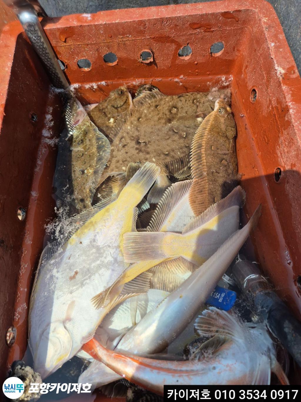 낚시뚜,기타 (직접입력),영일만항,포항카이져호,낚시뚜42