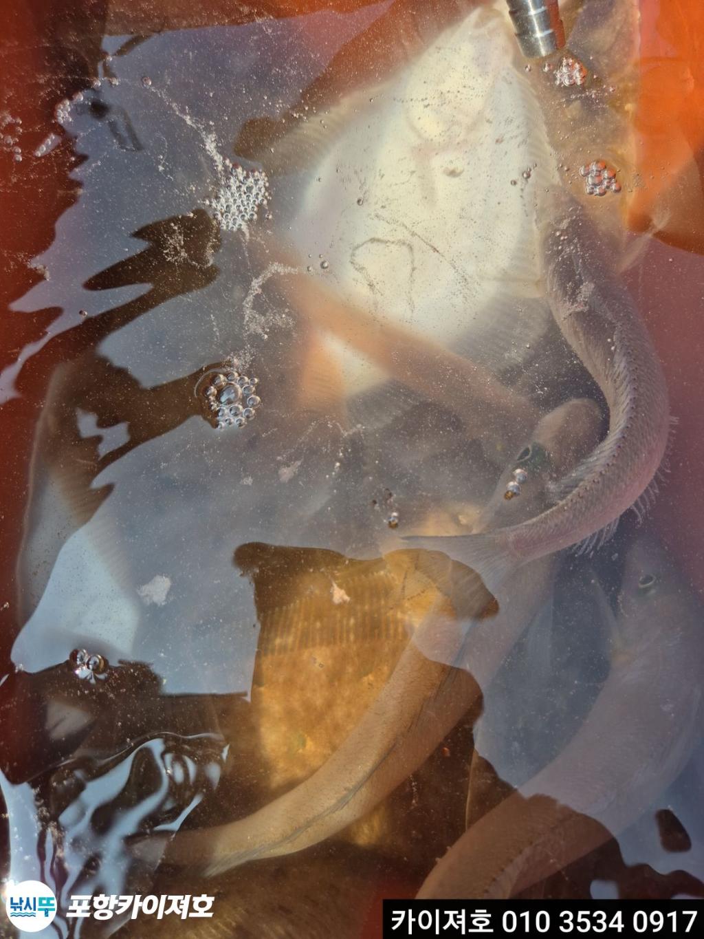 낚시뚜,기타 (직접입력),영일만항,포항카이져호,낚시뚜41