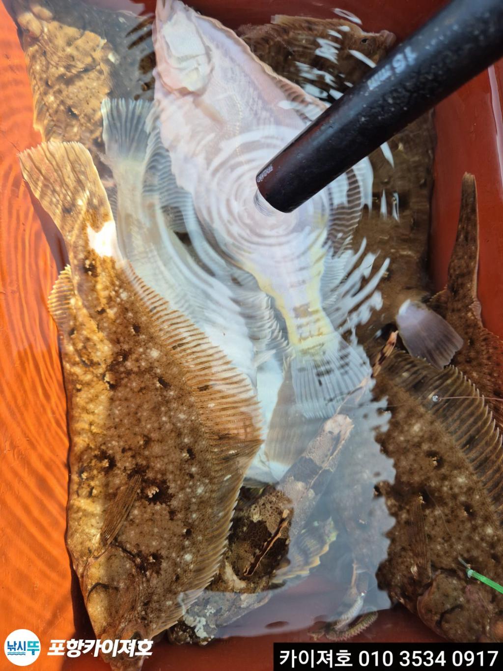 낚시뚜,기타 (직접입력),영일만항,포항카이져호,낚시뚜40