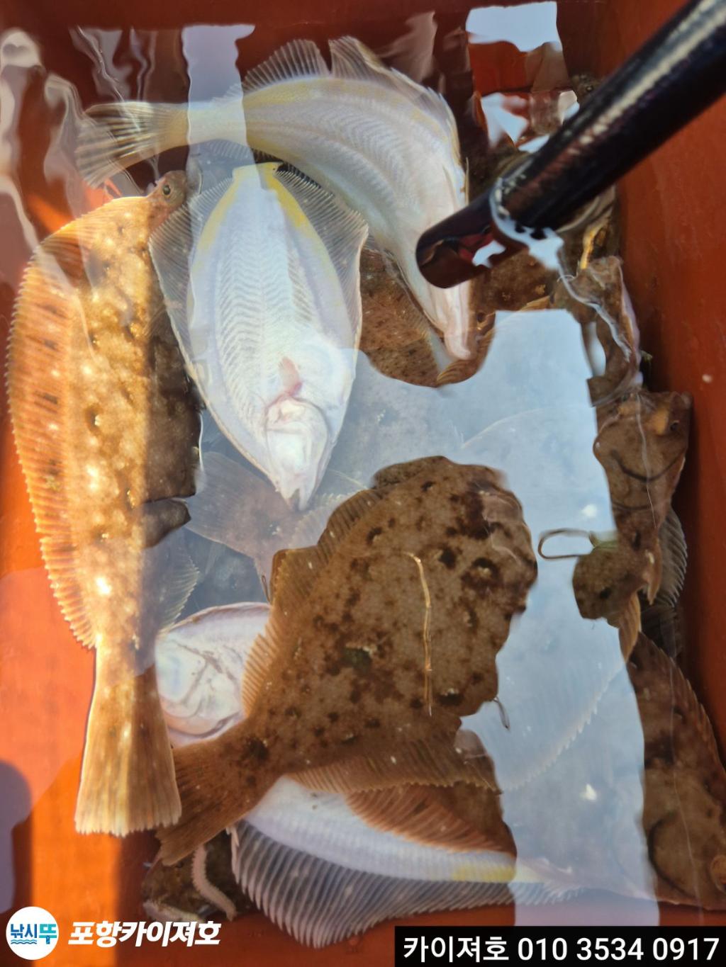 낚시뚜,기타 (직접입력),영일만항,포항카이져호,낚시뚜39