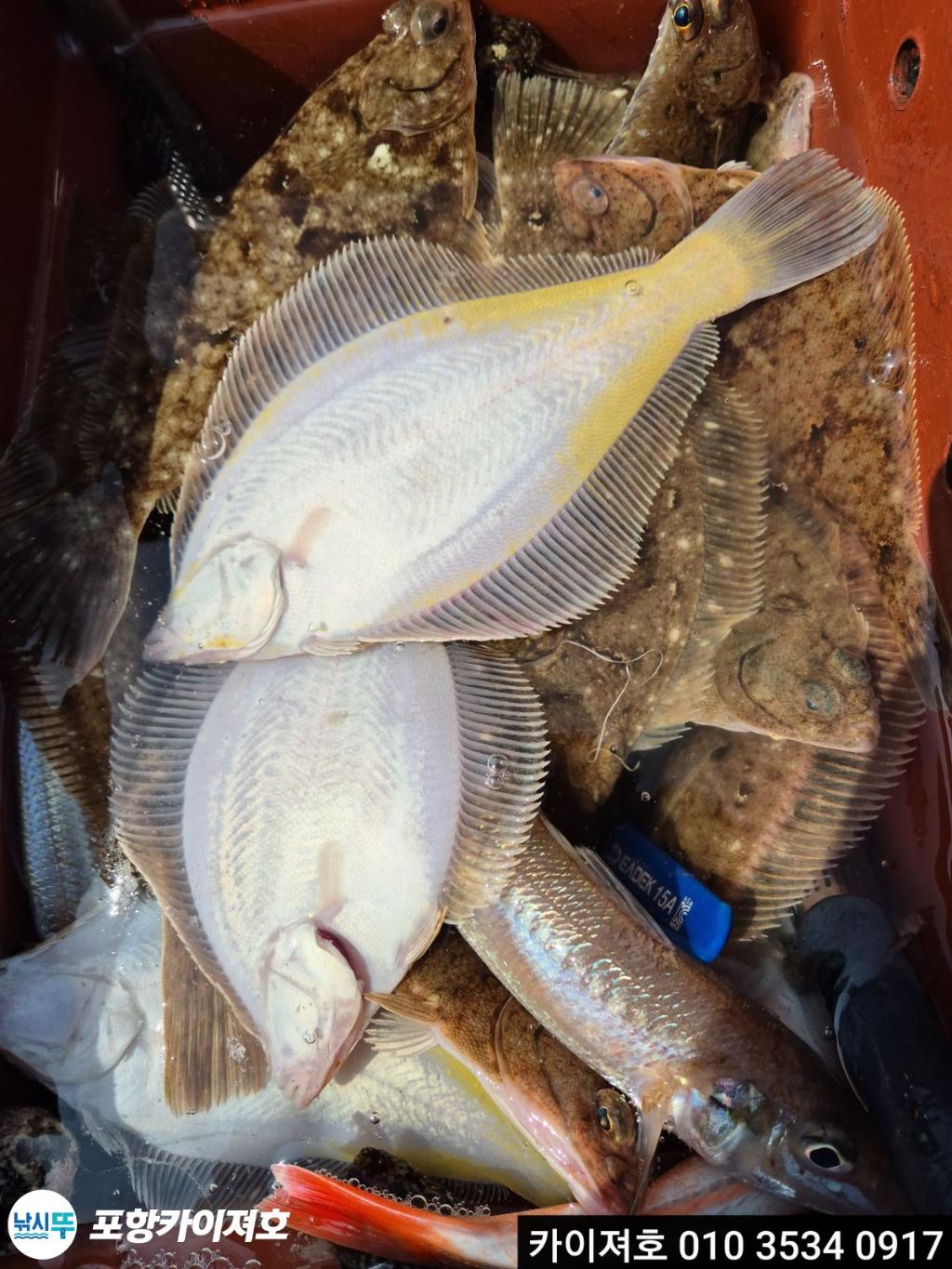 낚시뚜,기타 (직접입력),영일만항,포항카이져호,낚시뚜37