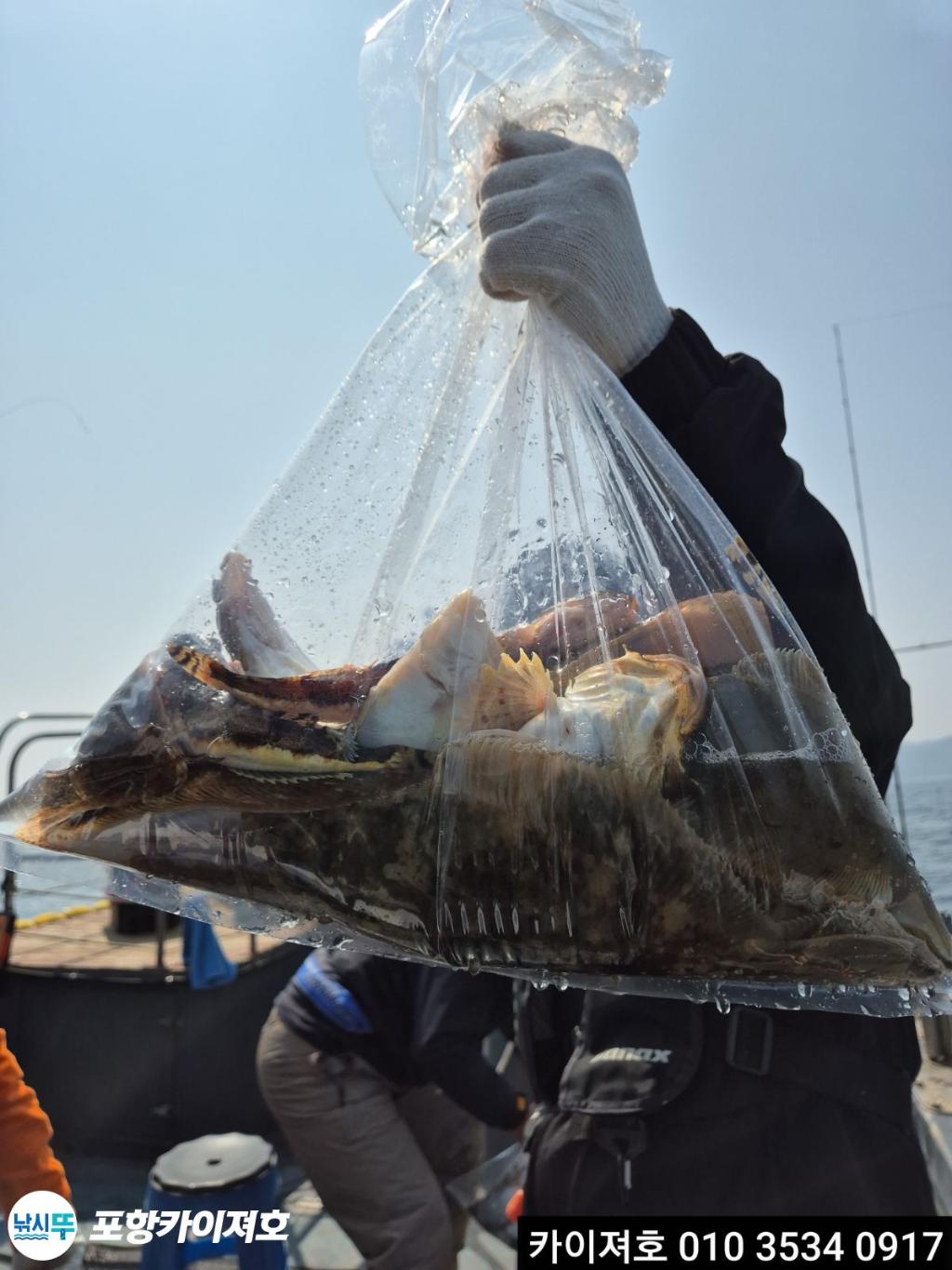 낚시뚜,기타 (직접입력),영일만항,포항카이져호,낚시뚜35