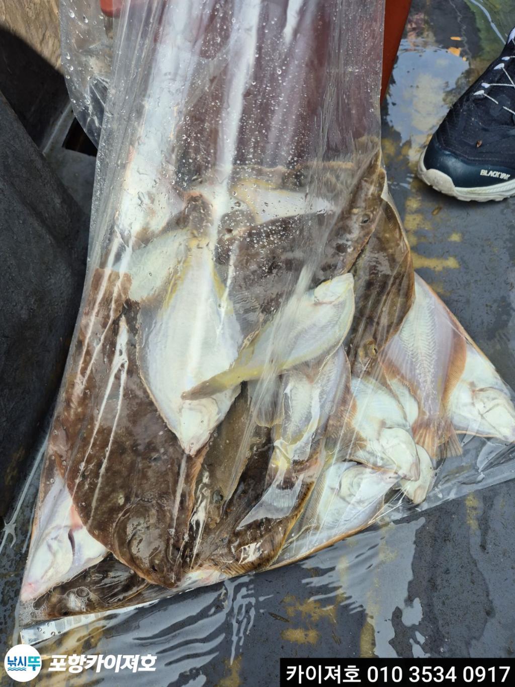 낚시뚜,기타 (직접입력),영일만항,포항카이져호,낚시뚜34