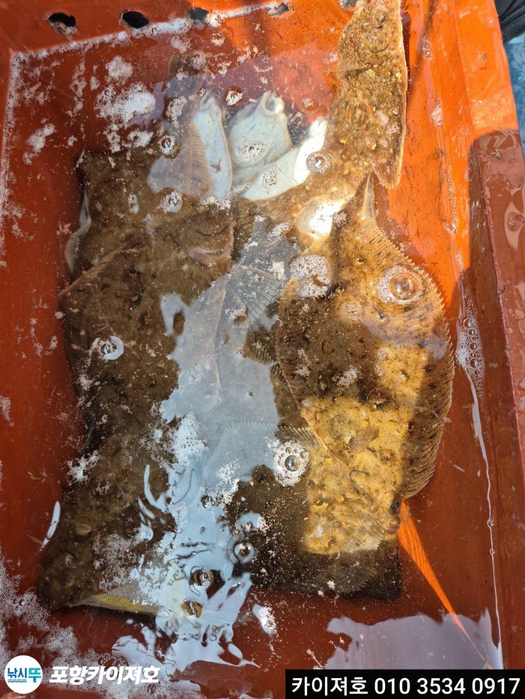 낚시뚜,기타 (직접입력),영일만항,포항카이져호,낚시뚜32