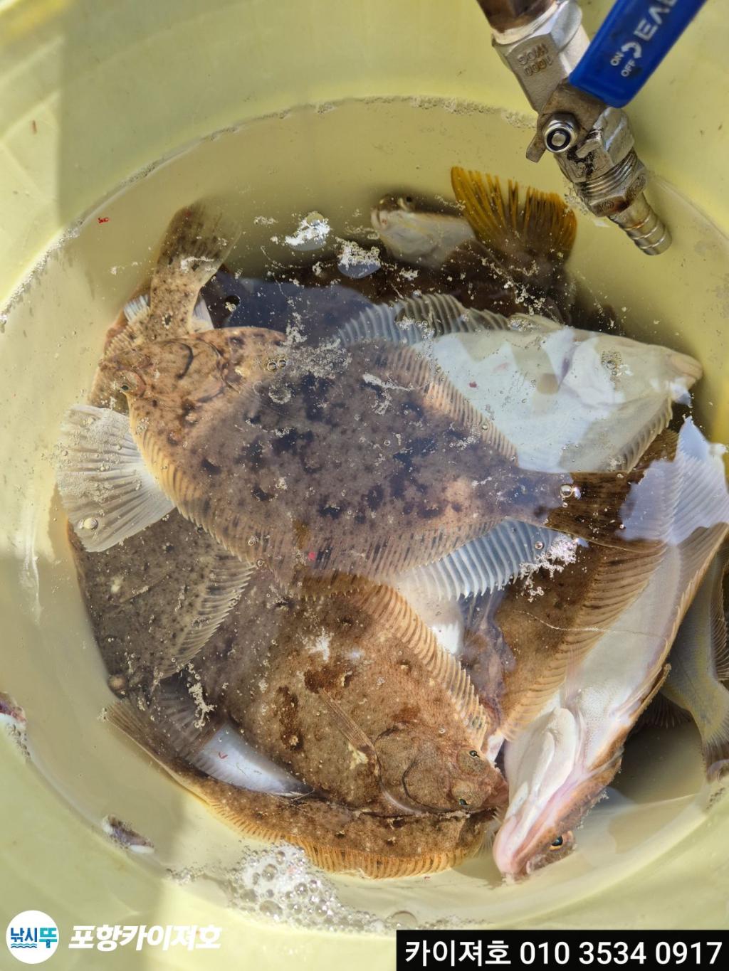 낚시뚜,기타 (직접입력),영일만항,포항카이져호,낚시뚜29