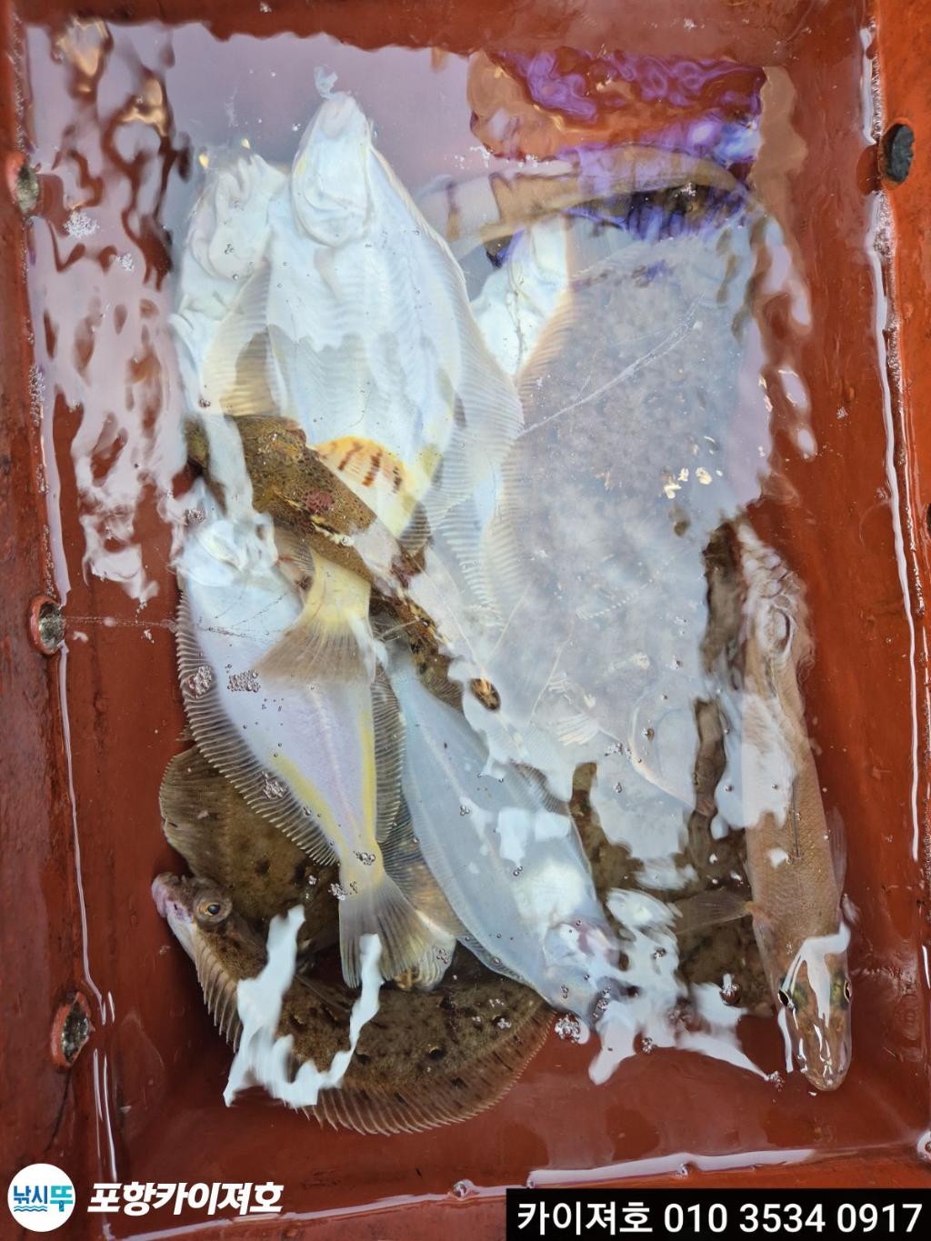 낚시뚜,기타 (직접입력),영일만항,포항카이져호,낚시뚜28