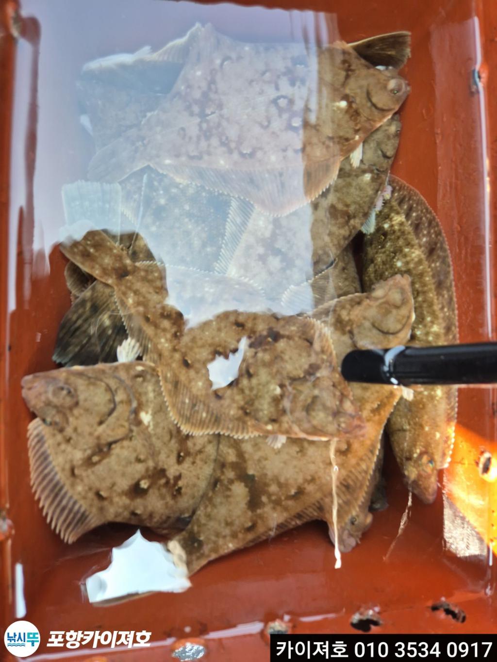 낚시뚜,기타 (직접입력),영일만항,포항카이져호,낚시뚜27