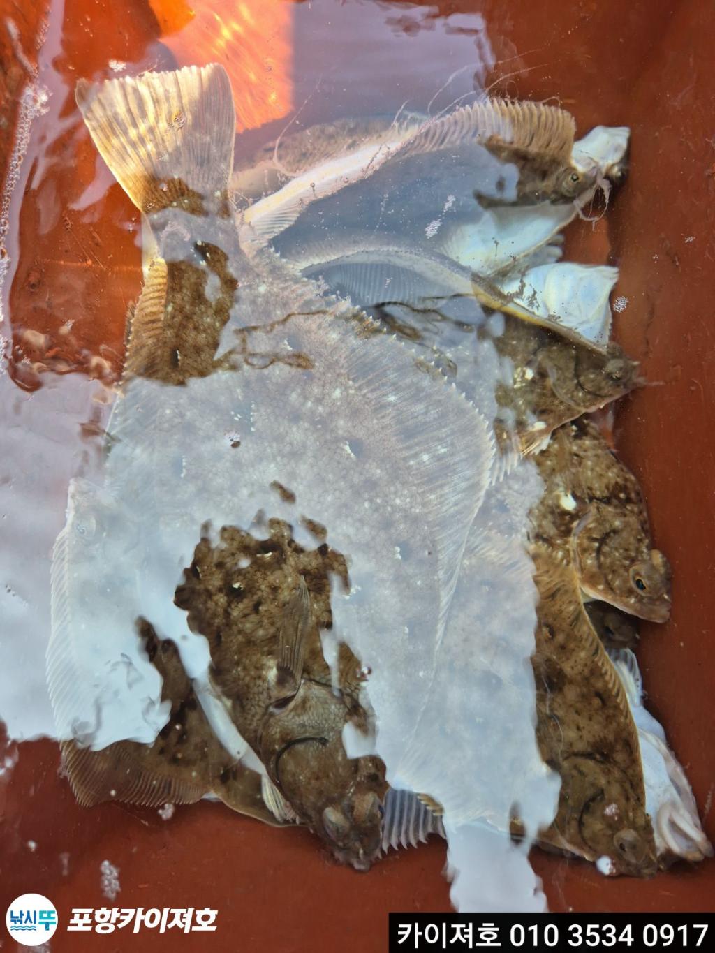 낚시뚜,기타 (직접입력),영일만항,포항카이져호,낚시뚜26