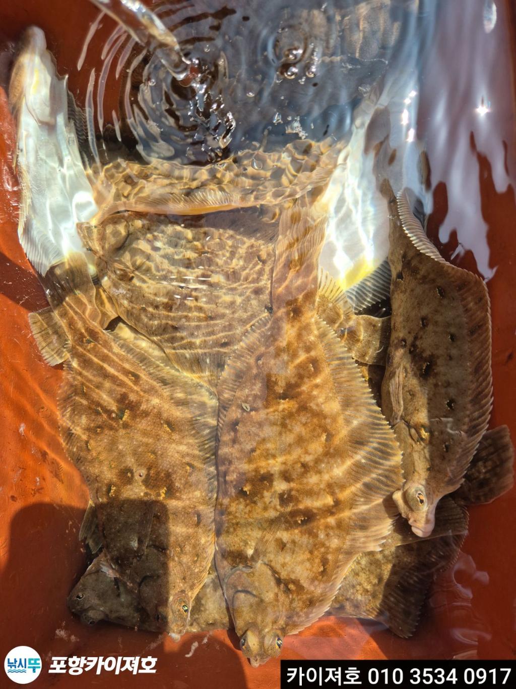 낚시뚜,기타 (직접입력),영일만항,포항카이져호,낚시뚜23