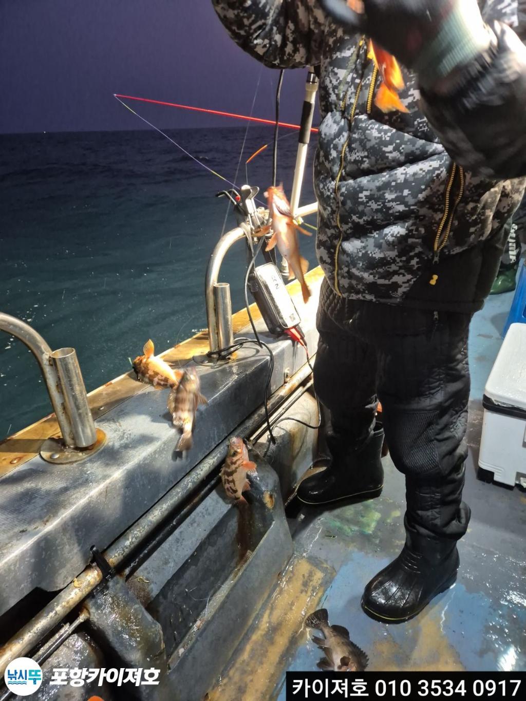 낚시뚜,도다리,영일만항,포항카이져호,낚시뚜24