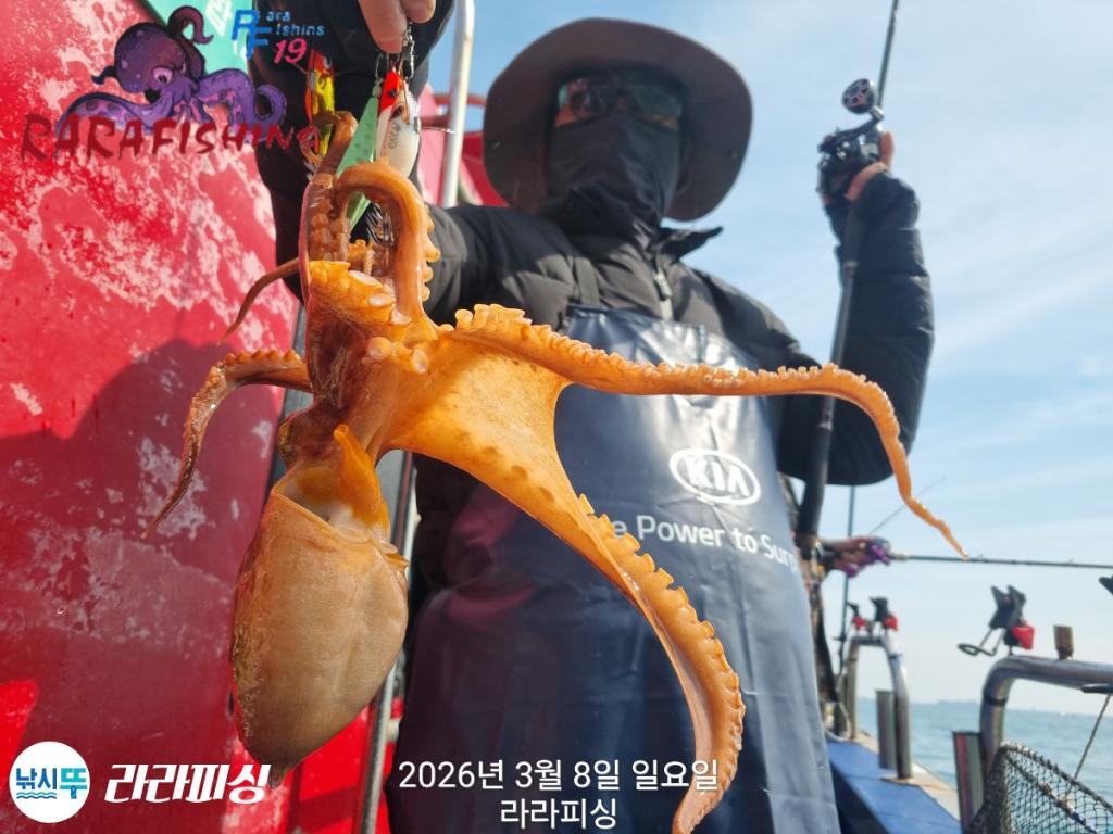 낚시뚜,낙지,돌문어,속천항(진해),라라피싱,낚시뚜27