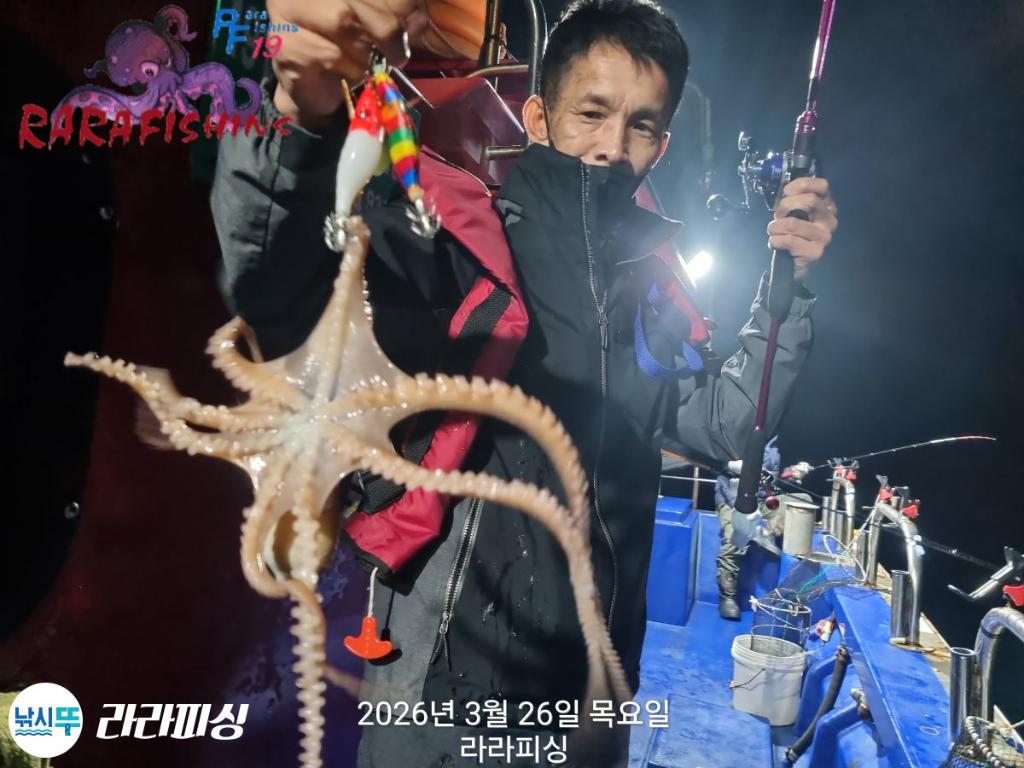 낚시뚜,낙지,돌문어,속천항(진해),라라피싱,낚시뚜9
