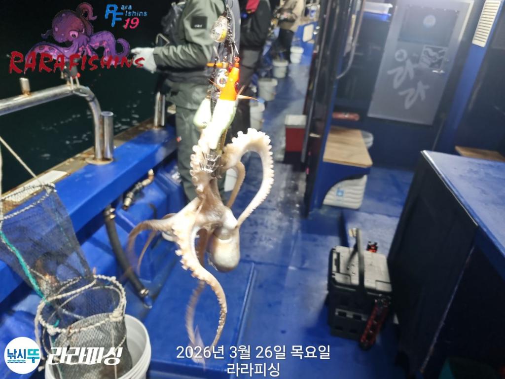 낚시뚜,낙지,돌문어,속천항(진해),라라피싱,낚시뚜6