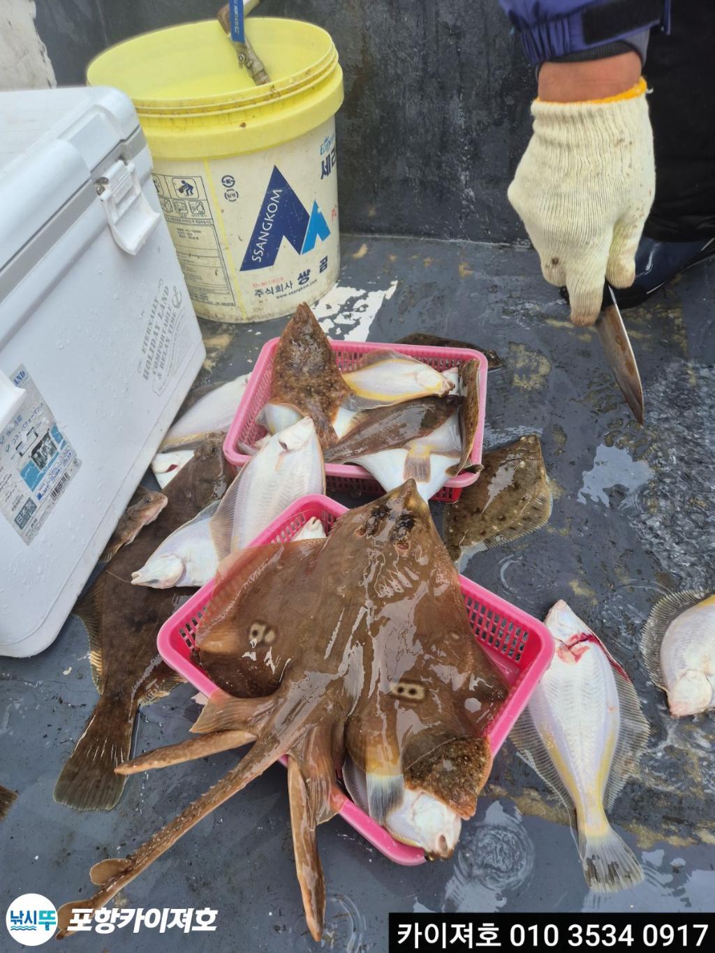 낚시뚜,도다리,영일만항,포항카이져호,낚시뚜37