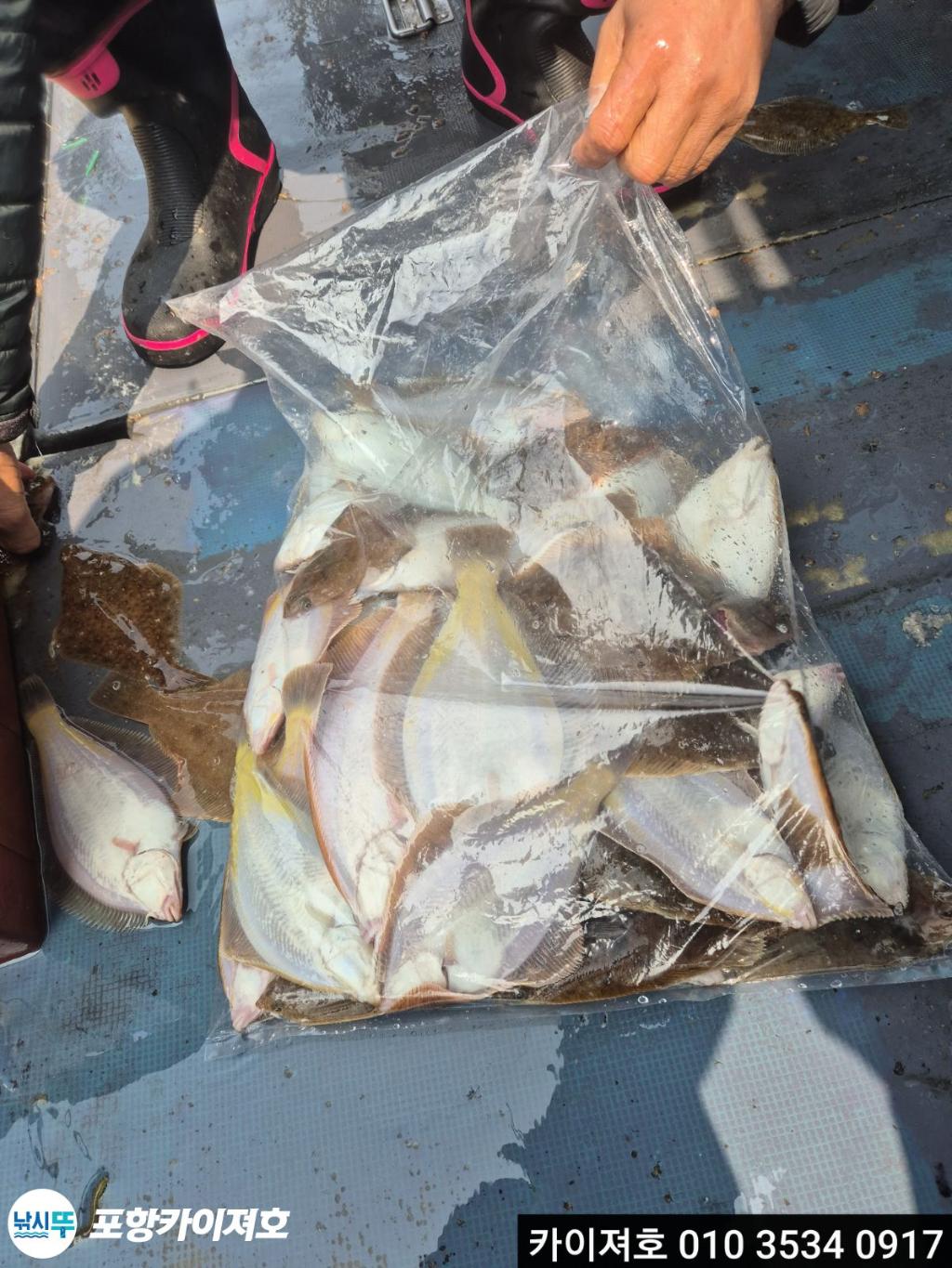 낚시뚜,도다리,영일만항,포항카이져호,낚시뚜32