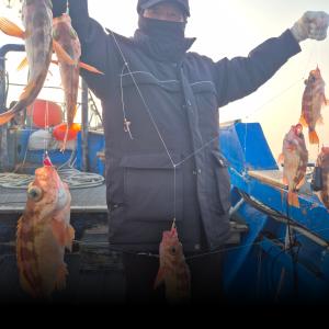 조황, 우럭싸이즈 대왕열기