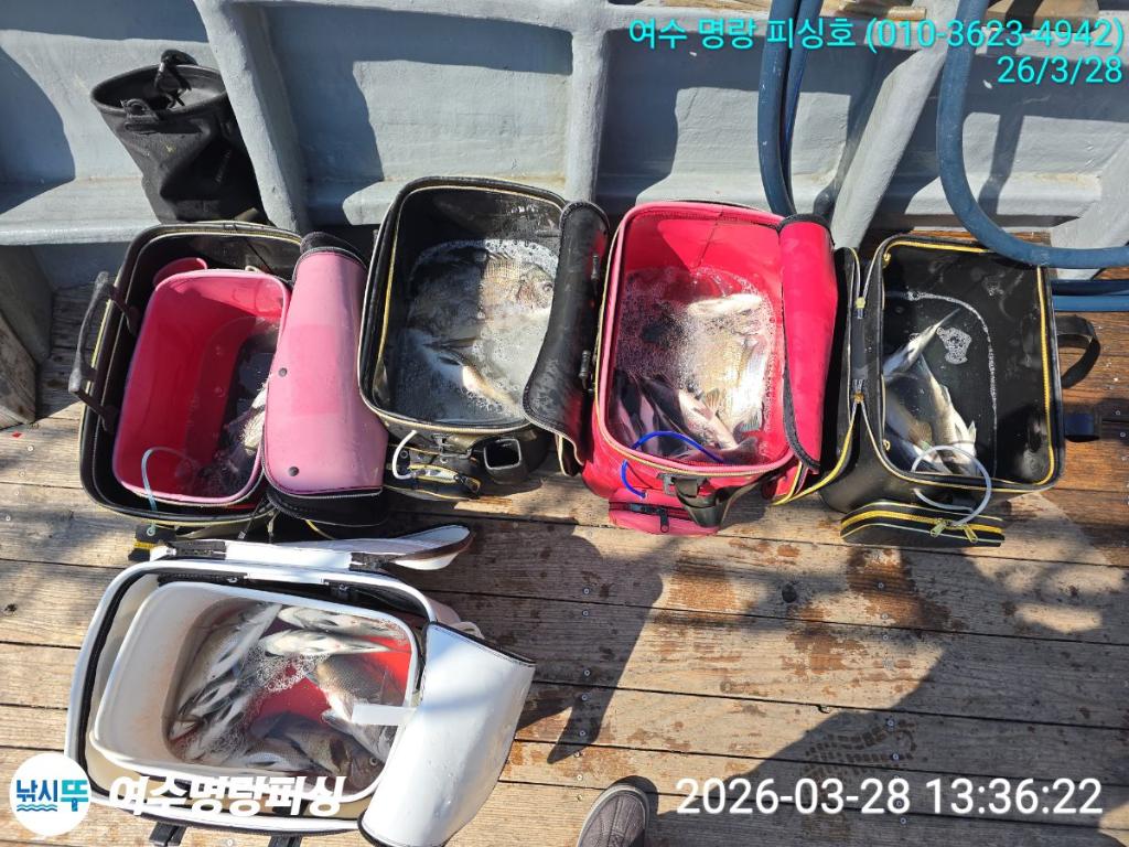 낚시뚜,감성돔,국동항,여수명랑피싱,낚시뚜7
