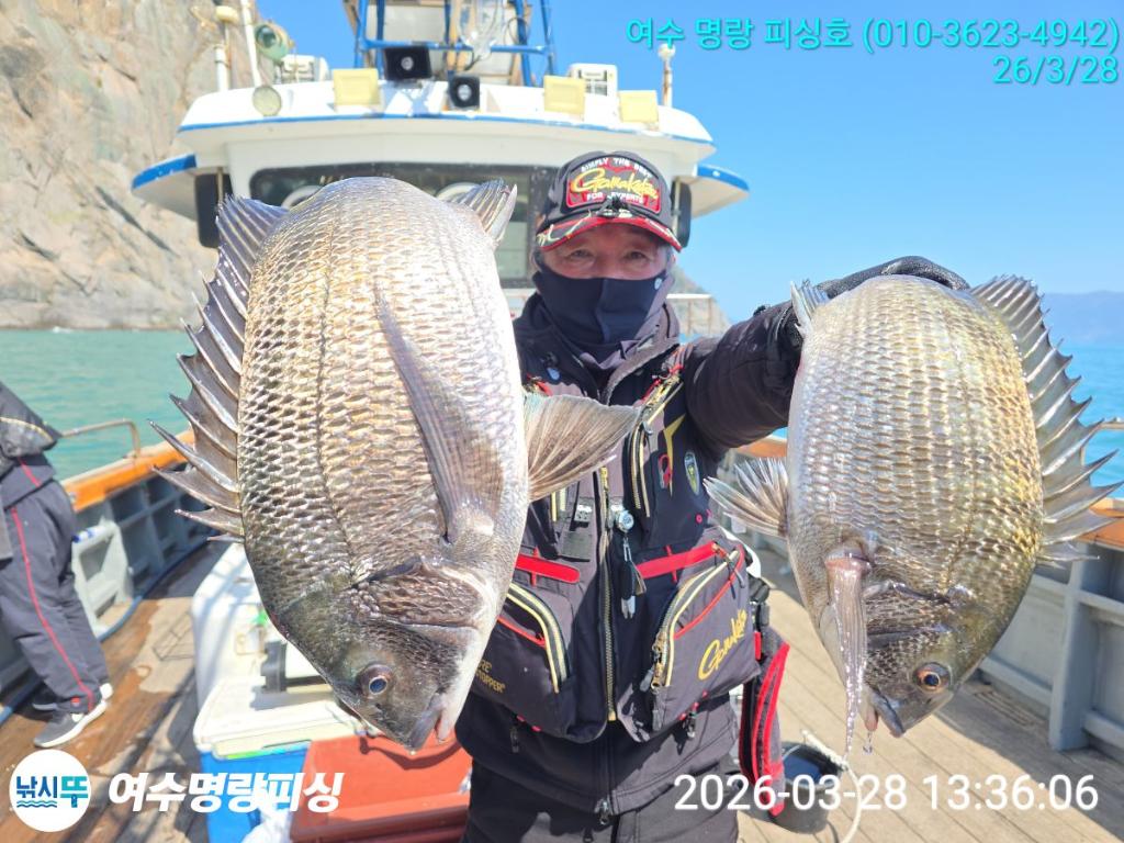 낚시뚜,감성돔,국동항,여수명랑피싱,낚시뚜0