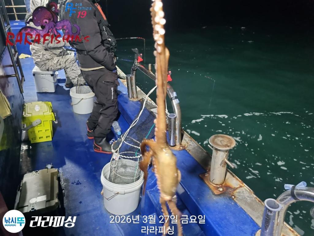 낚시뚜,낙지,속천항(진해),라라피싱,낚시뚜9