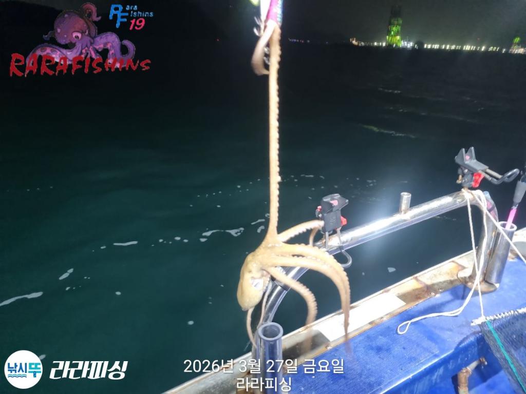 낚시뚜,낙지,속천항(진해),라라피싱,낚시뚜5