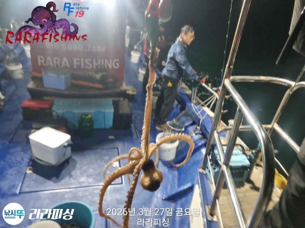 낚시뚜,낙지,속천항(진해),라라피싱,낚시뚜4