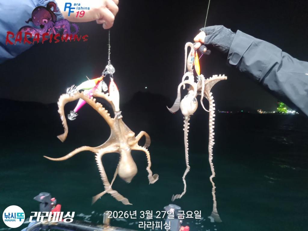 낚시뚜,낙지,속천항(진해),라라피싱,낚시뚜3
