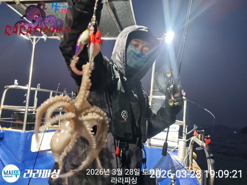 낚시뚜,낙지,돌문어,속천항(진해),라라피싱,낚시뚜8