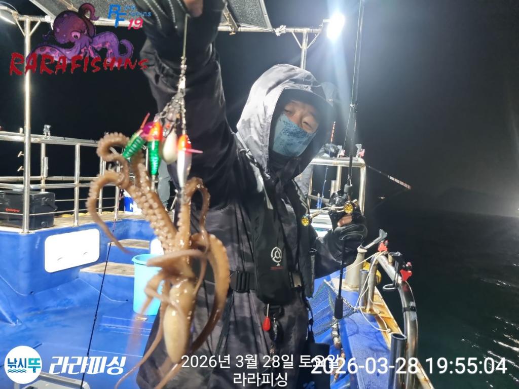 낚시뚜,낙지,돌문어,속천항(진해),라라피싱,낚시뚜6