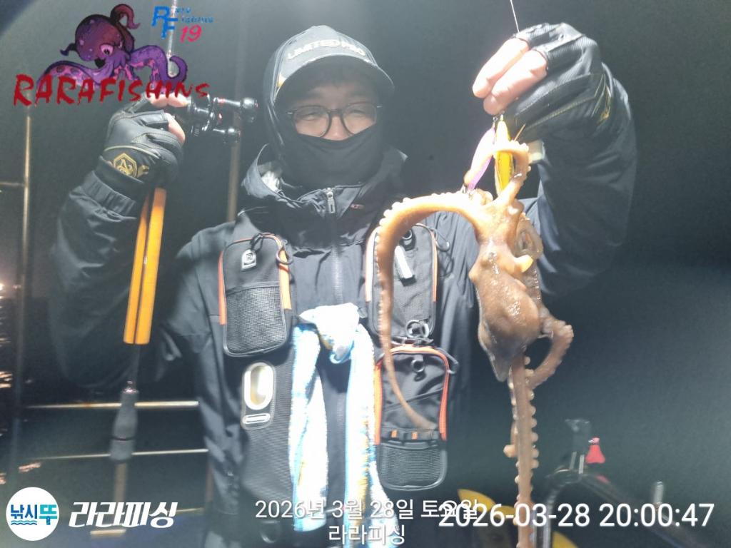 낚시뚜,낙지,돌문어,속천항(진해),라라피싱,낚시뚜5