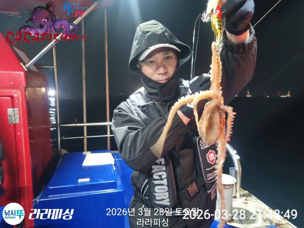 낚시뚜,낙지,돌문어,속천항(진해),라라피싱,낚시뚜3