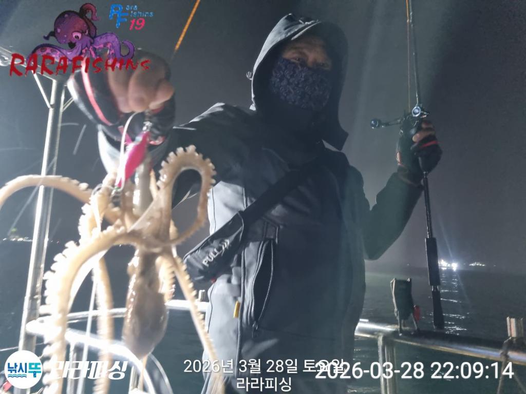 낚시뚜,낙지,돌문어,속천항(진해),라라피싱,낚시뚜2